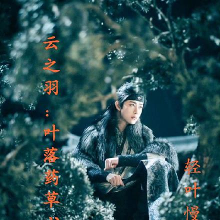 云之羽:叶落药草心